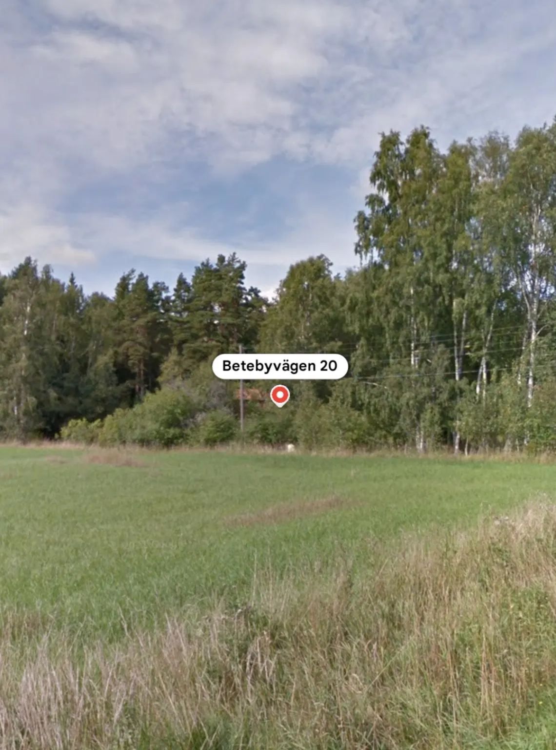 Fälten och träden vid vår plats på Betebyvägen 20